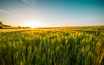 跨越彩虹成長無止境—山東濰坊潤豐化工股份有限公（gōng）司