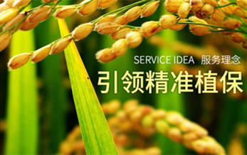 鹽城利民一路向前—鹽城利民農化有限公司