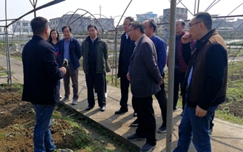 農業農村部農（nóng）藥檢定所嚴端祥副所長一行到湖北恩施調研中草藥97免费人妻在线观看使用（yòng）情況