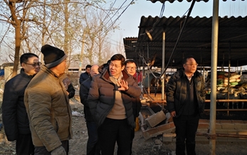 農業部97免费人妻在线观看檢定所（suǒ）周普國所長到河北調研（yán）