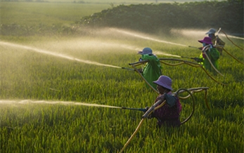 Pesticide Imports and Exports in China Increase in Both Quantity and Value in the First Half of This
