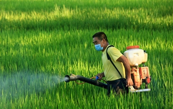 China registered first Bacillus methylotrophicus biofungicide