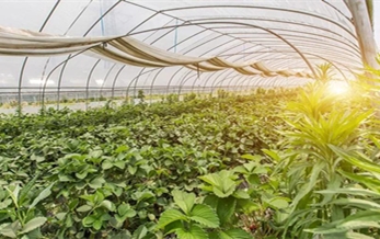 Mexico seeks to double food exports to China in 2016