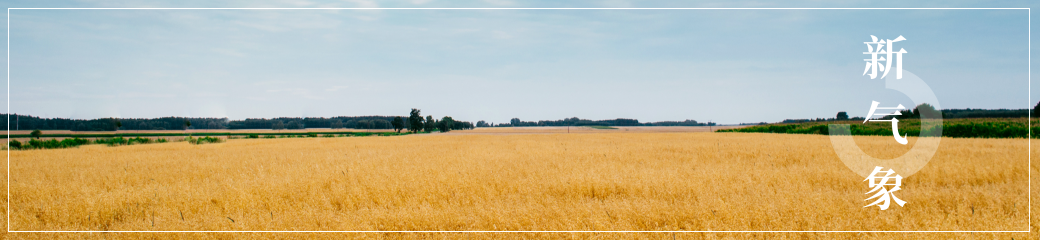 新氣象